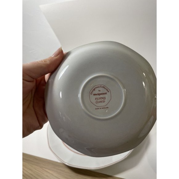 Wedgwood Flying Cloud Rust Lot 4 place settings + extra dinner, tea + sugar jar - Picture 16 of 16